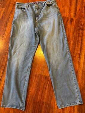 Gloria Vanderbilt Women's Straight Jeans in Mid Blue